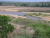 Penicela Sofala Mozambique