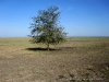 Visita ao Parque Nacional da Gorongosa