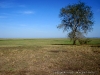 Visita ao Parque Nacional da Gorongosa