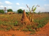 North-West Maipeca Zambézia Mozambique