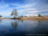 Rio Zambeze, Zambezi Breezers, Zambia