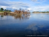 Rio Zambeze, Zambezi Breezers, Zambia