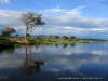 Rio Zambeze, Zambezi Breezers, Zambia