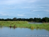 Rio Zambeze, Zambezi Breezers, Zambia