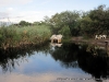 Transfer para o Mazambala Lodge, Namibia