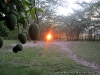 Por do sol, Mazambala Lodge, Namibia