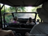 Visita ao Parque Nacional da Gorongosa